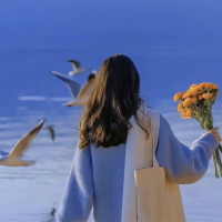 用户KEVAN对ProVPN加速器感到非常满意。